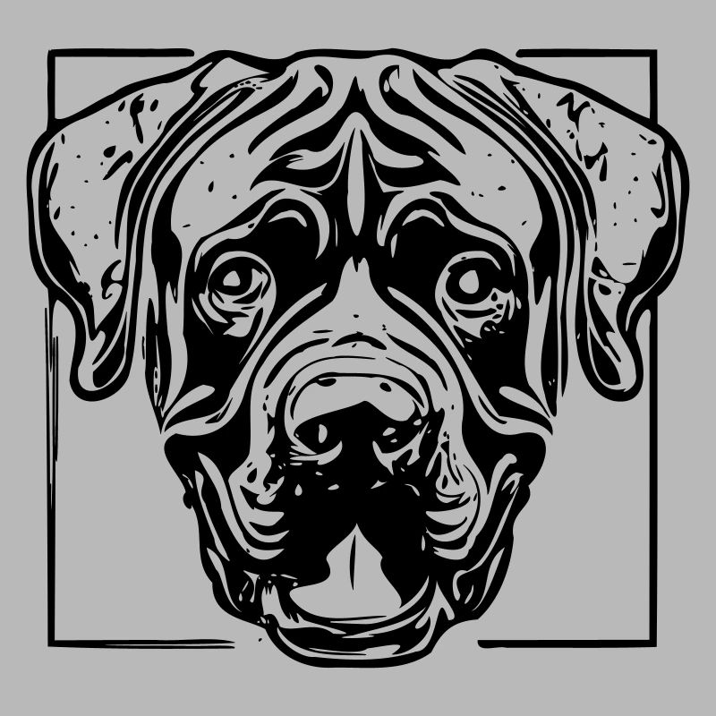 cane corso