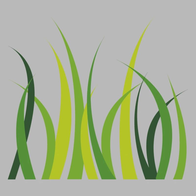 herbes