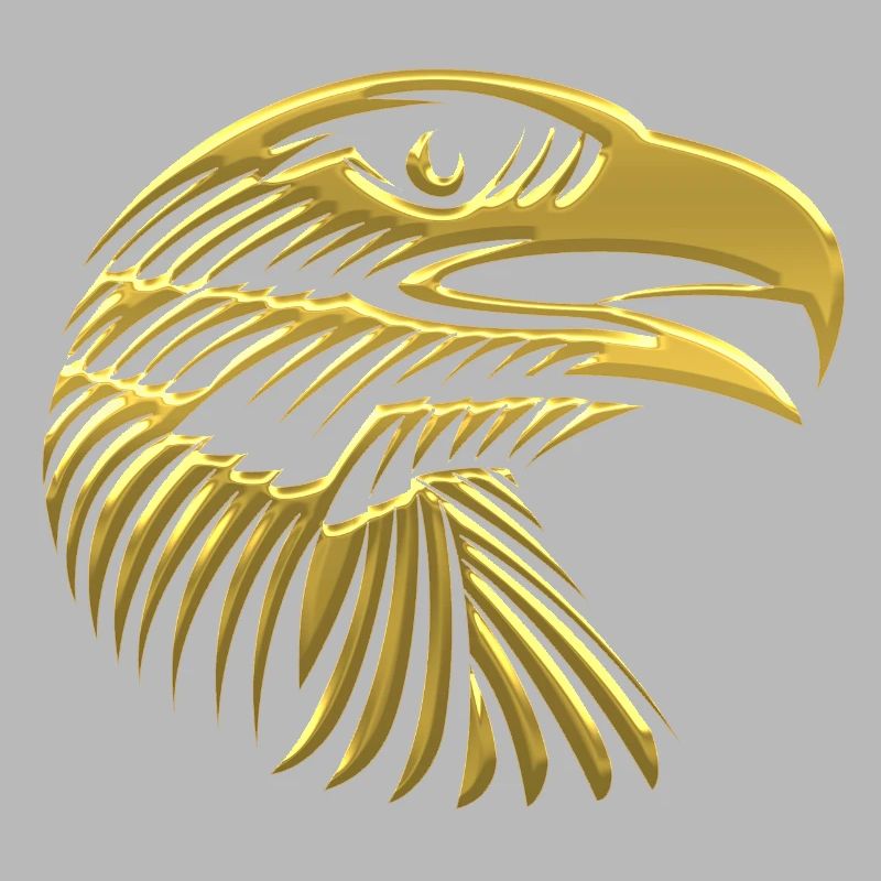 Eagles Eagle Eagle bird falcon hawk