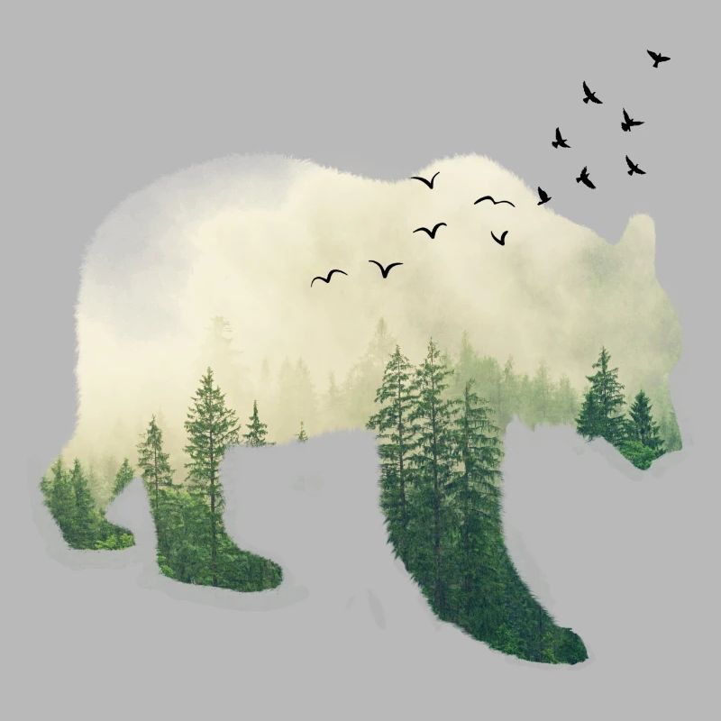 Forest Bear