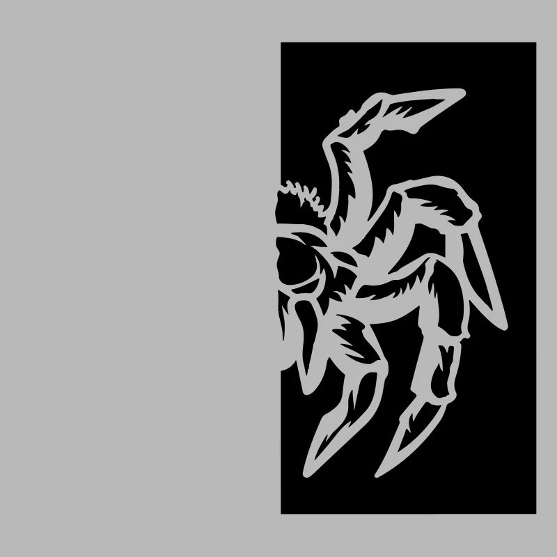 araignée araignée