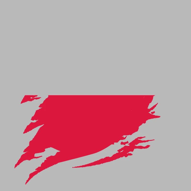 Drapeau de Pologne utilisé Look Polska Drapeau polonais