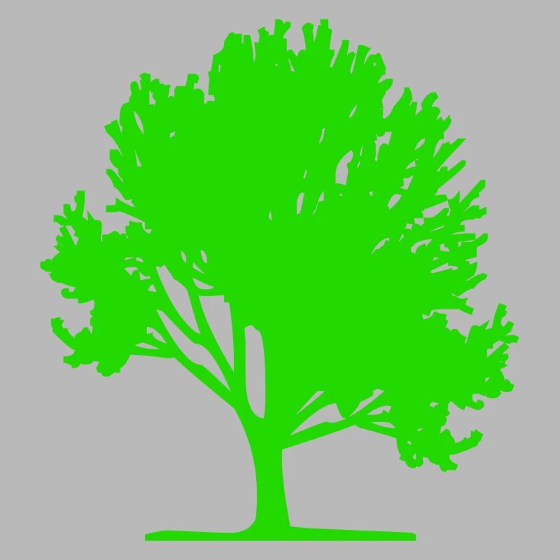 baum