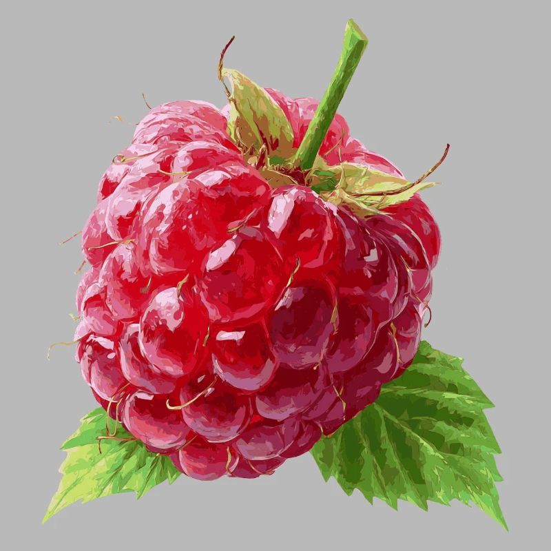 Himbeere
