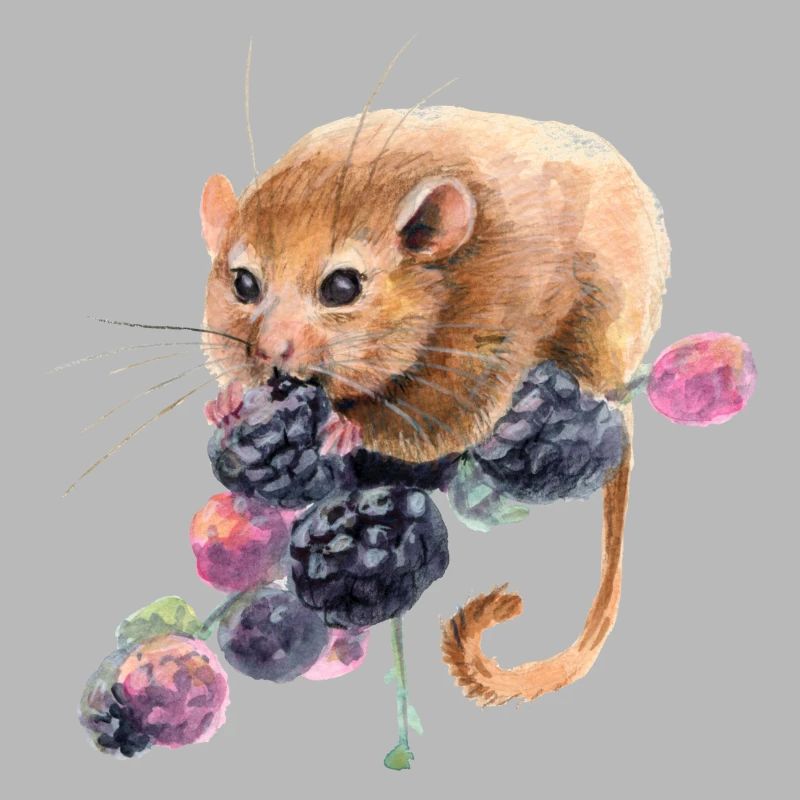 Haselmaus