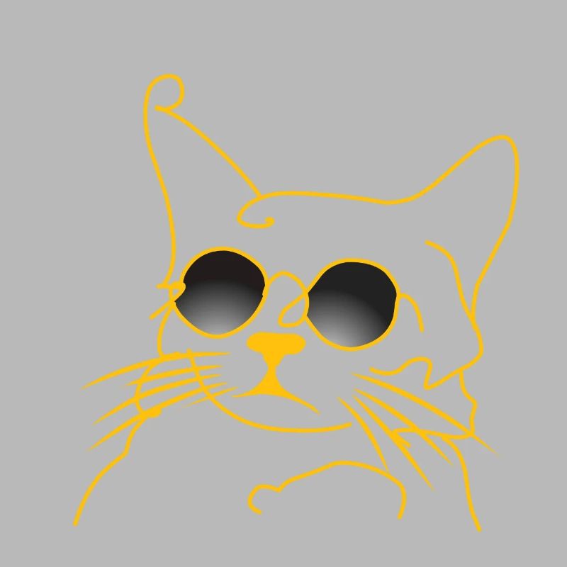 Garçon de chat