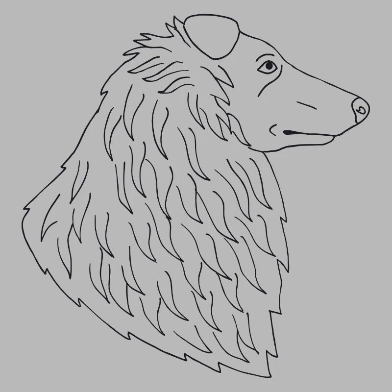 Collie