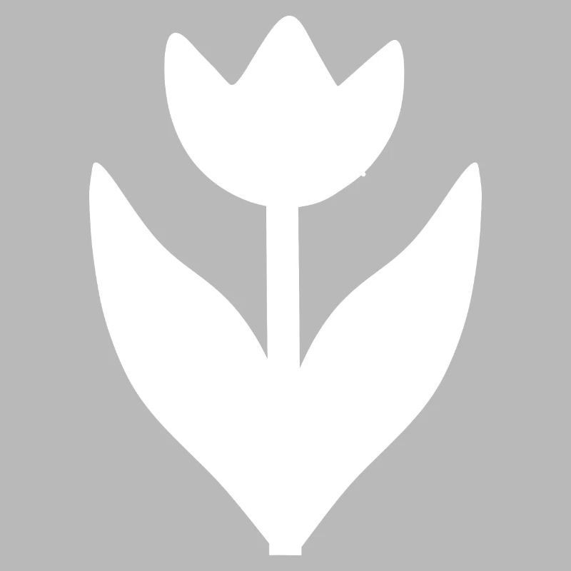 Fleur Blanche Fleur Tulipe Blanche