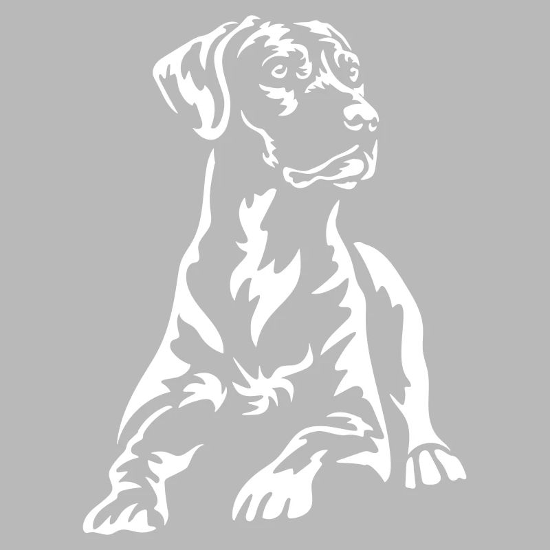 Rhodesian Ridgeback « Black Edition »