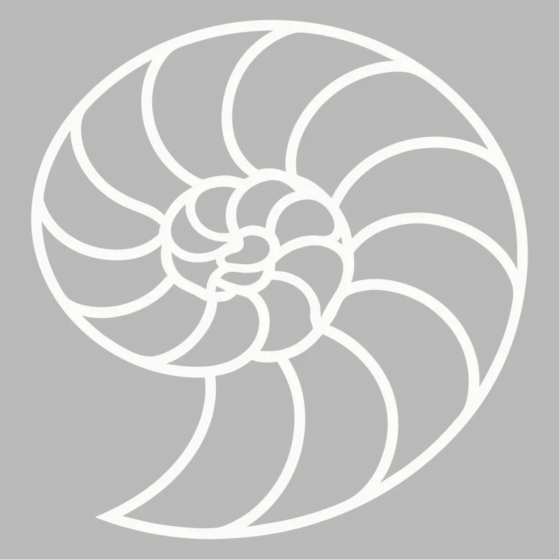 Weiße Nautilus-Spirale