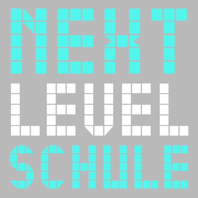 Next Level Schule