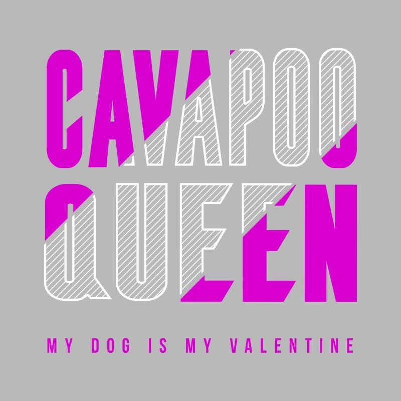Cavapoo Königin