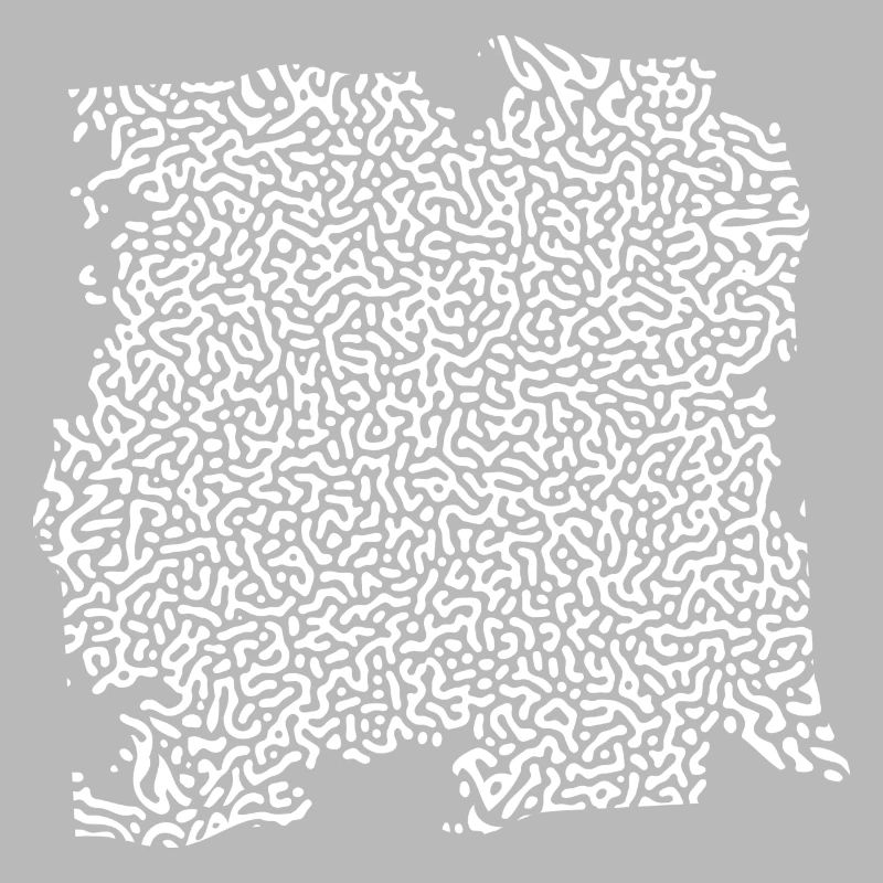 Turing Pattern Blanc - Ver