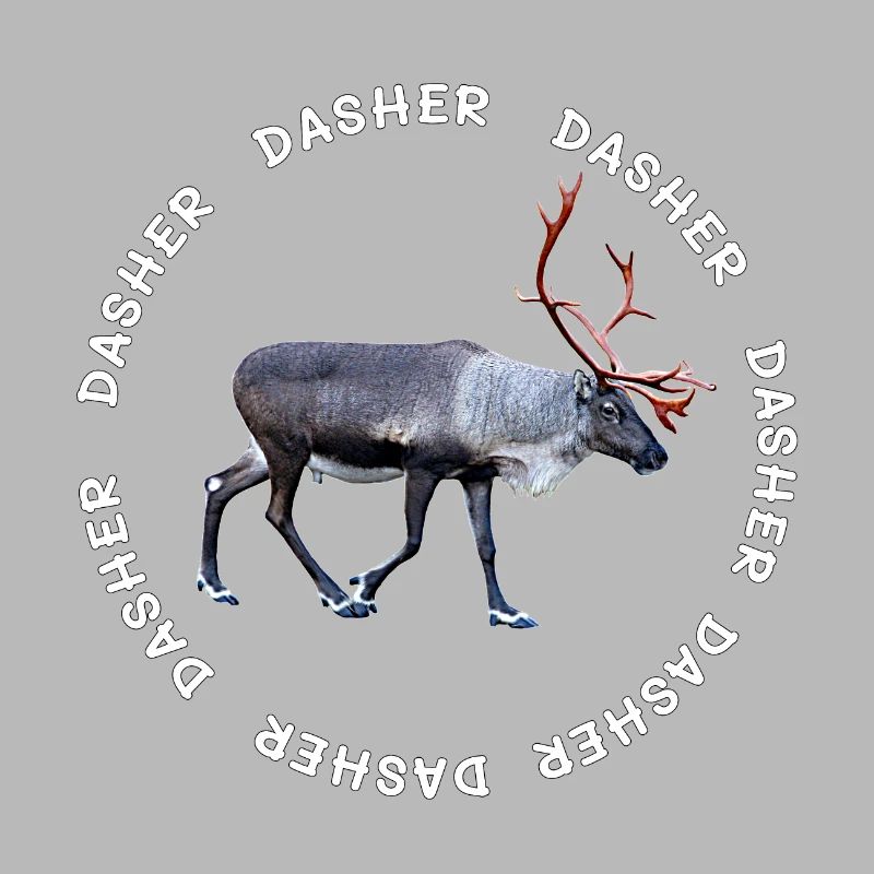 DASHER
