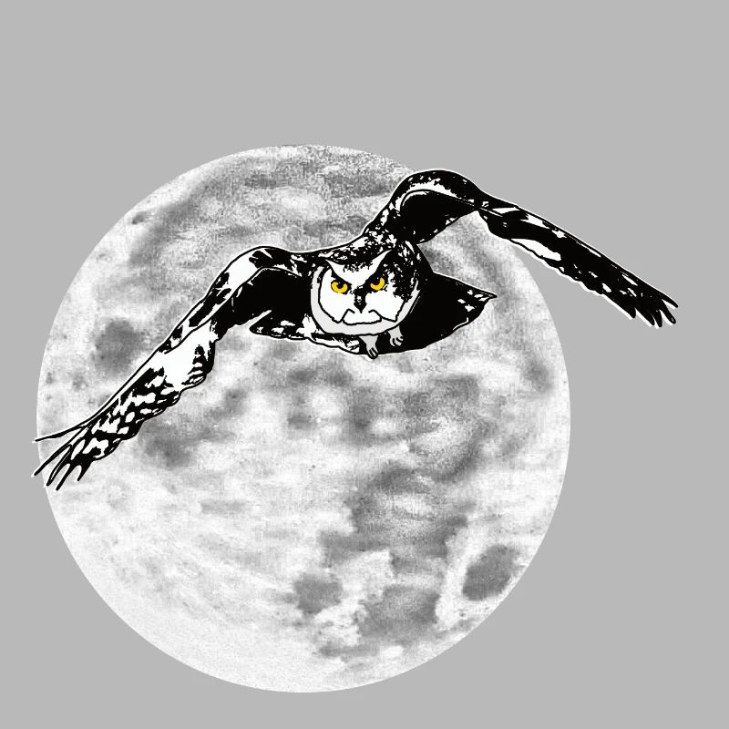 Eule vor Mond
