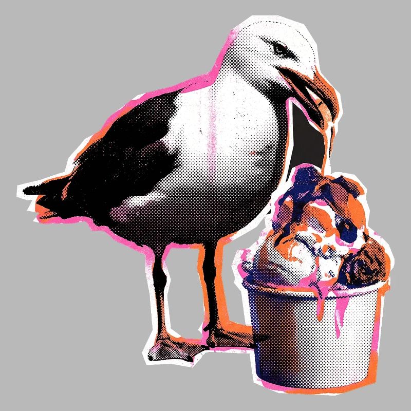 Möwe Isst Eis