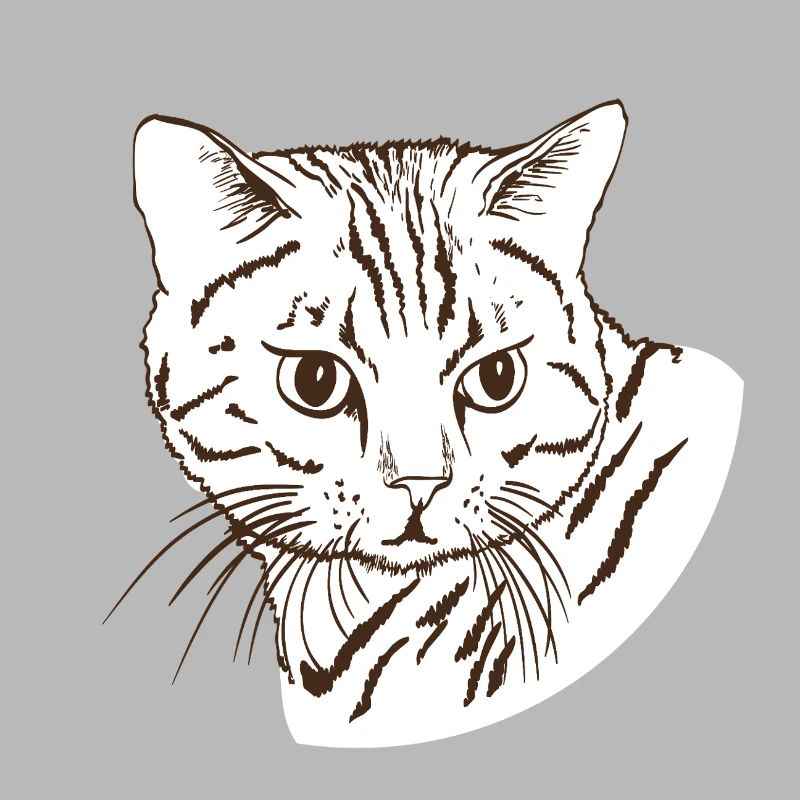 Katze