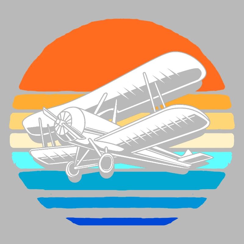 Modellflugzeug Modellflug