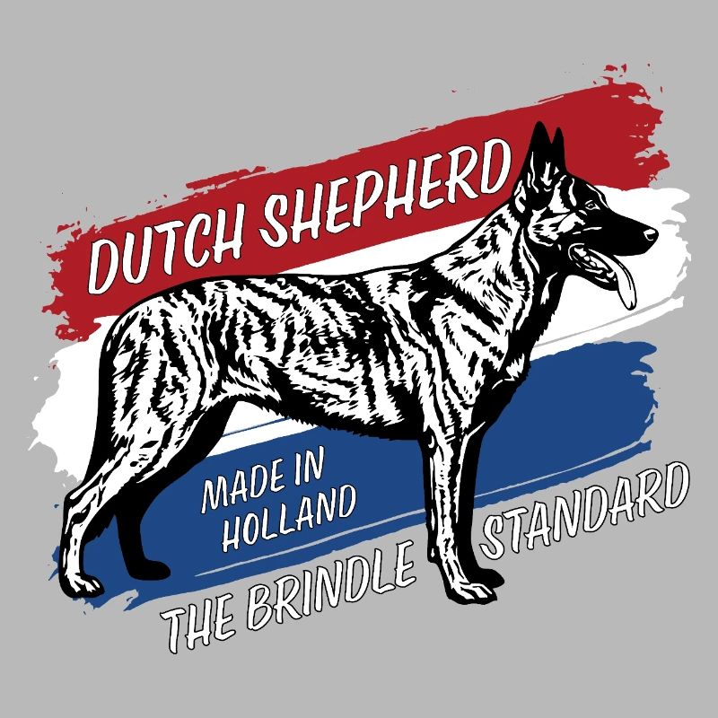 Dutch Shepherd – Dutchie