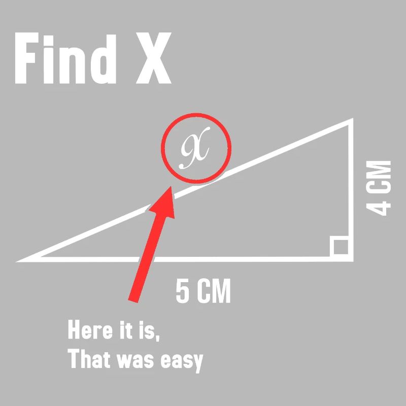 Find X Math Lover Mathematician Math Teacher