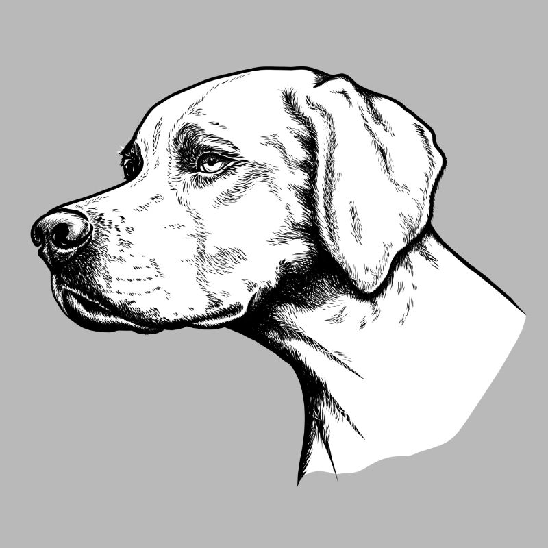 Pointer Portrait