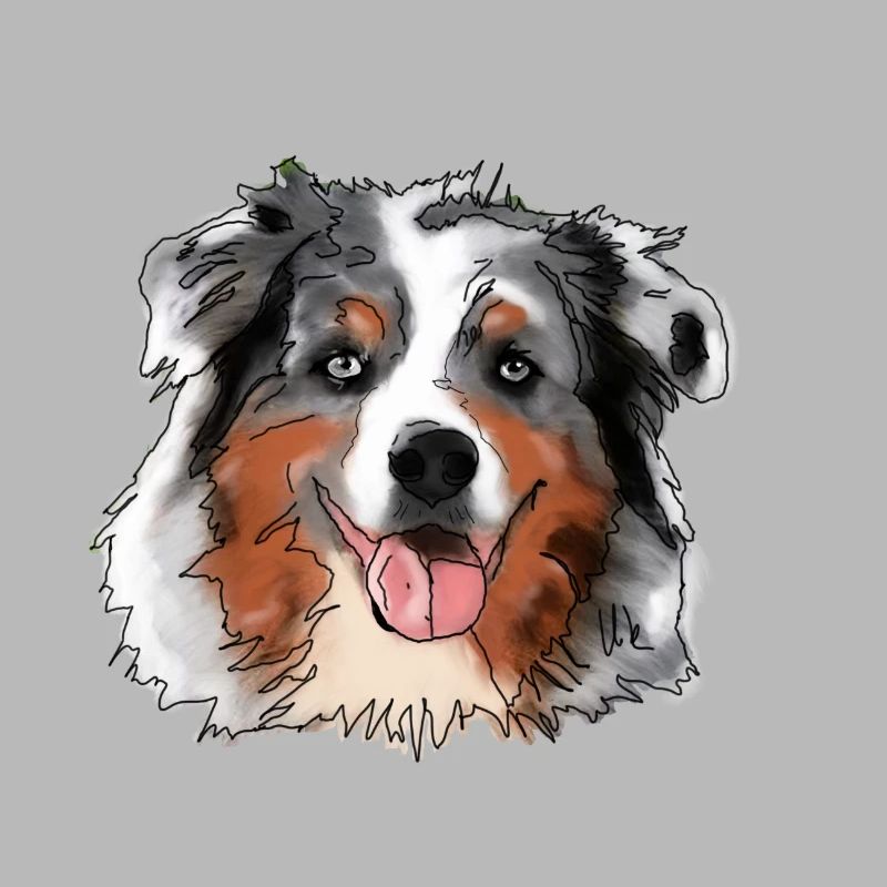 Australian Shepherd