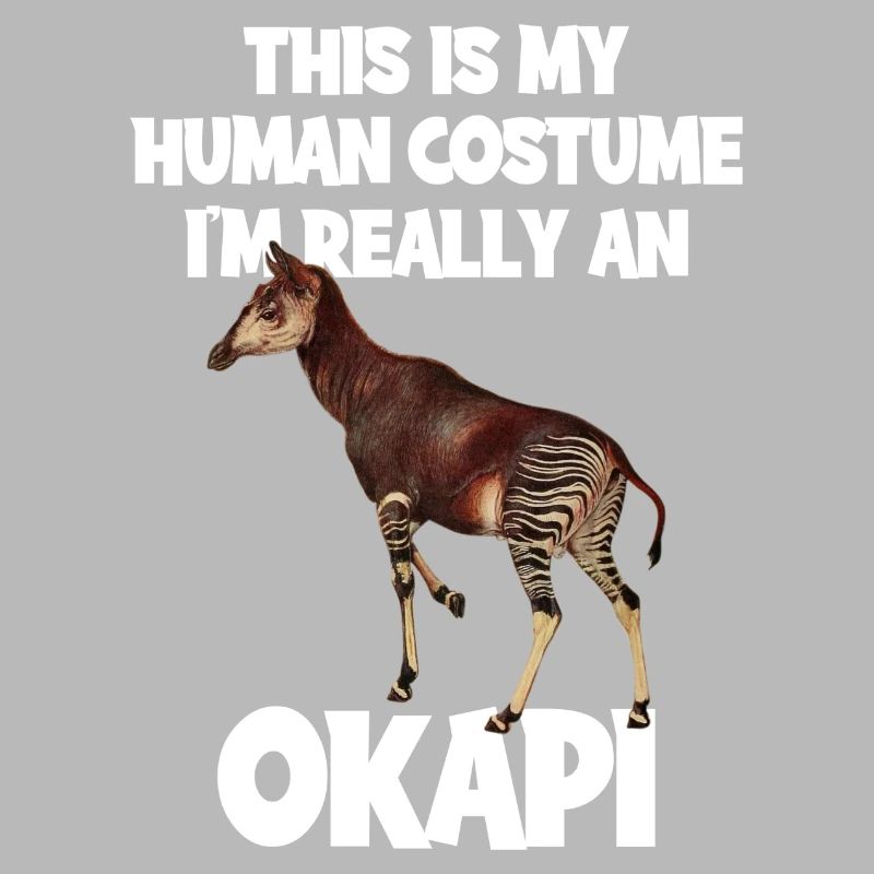 Expédition au zoo d'Okapi