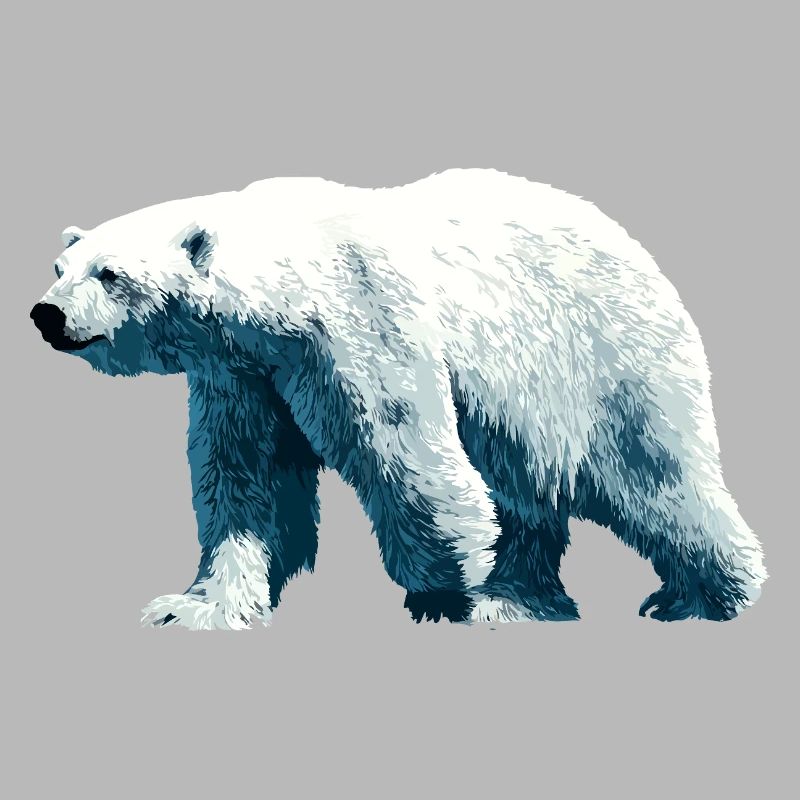Polar Bär Eisbär