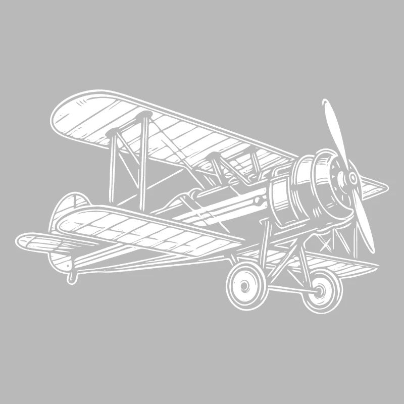 Biplane Oldtimer, conception classique d’avion