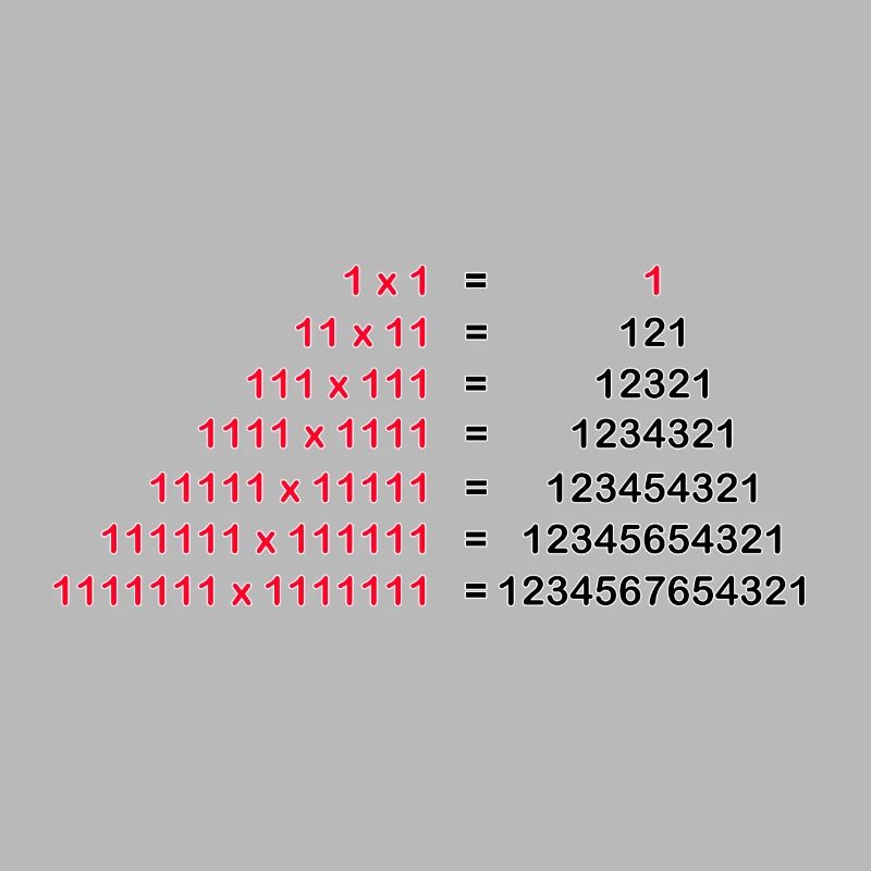 Number Palindrome Mathematics Physics 1x1 1^2 Gift