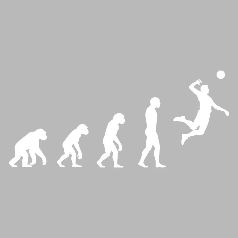 Volley-ball Evolution
