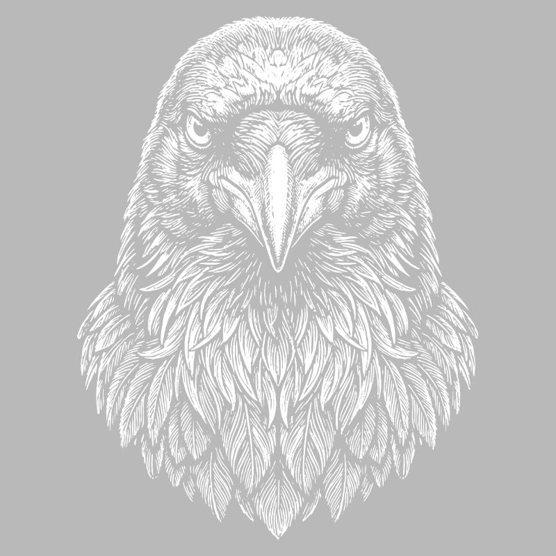 Aviator Eagle Headline Art