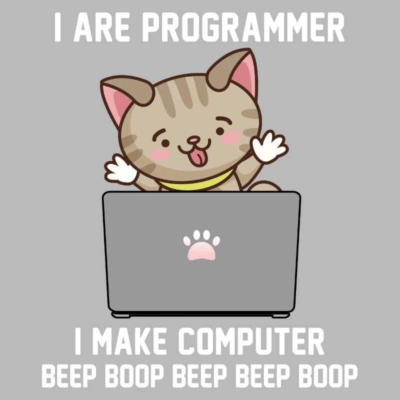 Programmeur