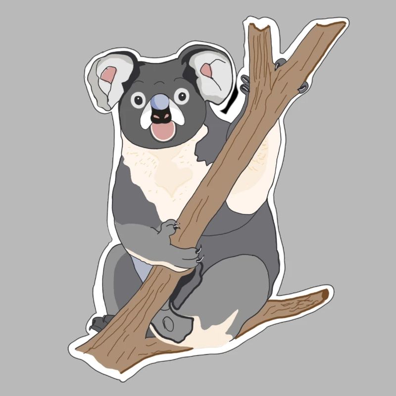 Koala Koala Bear