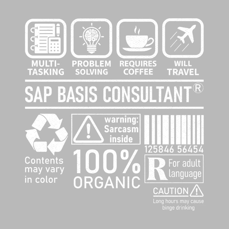 Consultant SAP Basis Consultant : résolution de problèmes multitâches