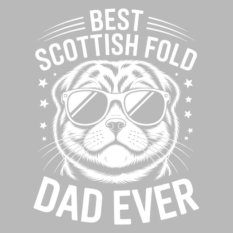 Schottische Faltohrkatzen Scottish Fold Geschenk