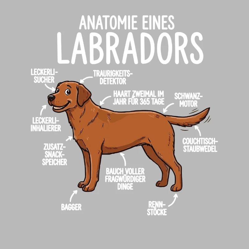 Anatomie eines Labradors – Lustiges Foxred Design