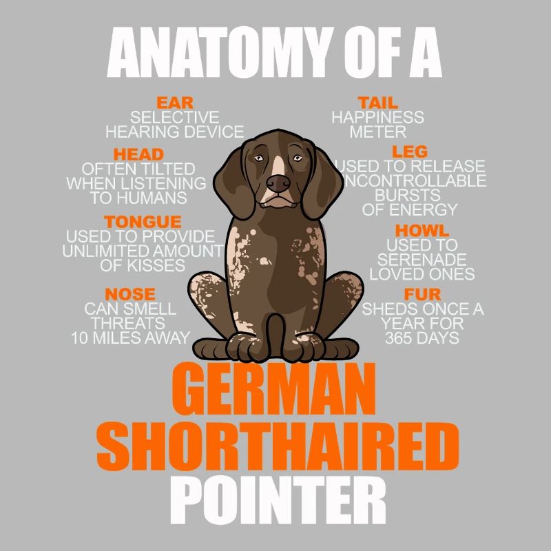 Anatomie eines Deutschen Kurzhaar-Pointers Lustiges GSP
