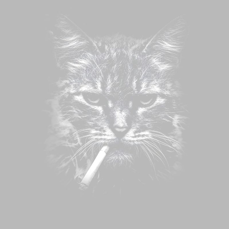 Fumer, cigarette, chat fumer une cigarette