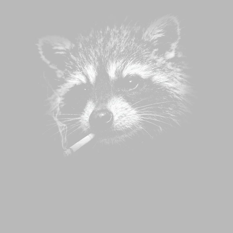 Rauchen, Zigarette, Waschbär raucht eine Zigarette
