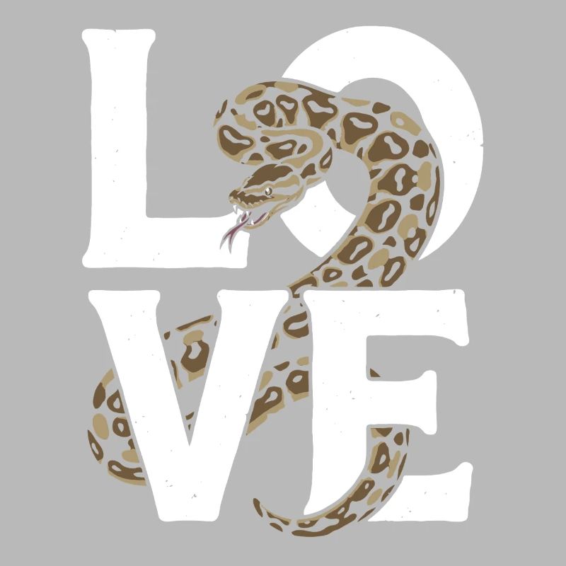 Les serpents rois Python ADORENT les pythons de terrarium