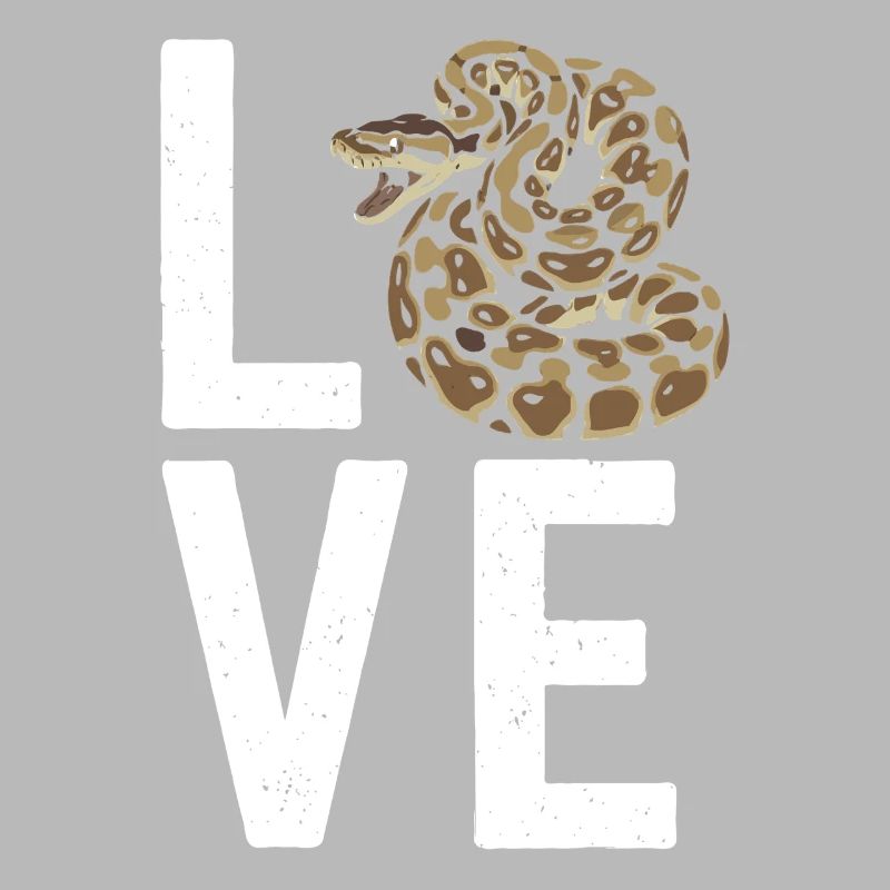 Les serpents rois Python ADORENT les pythons de terrarium