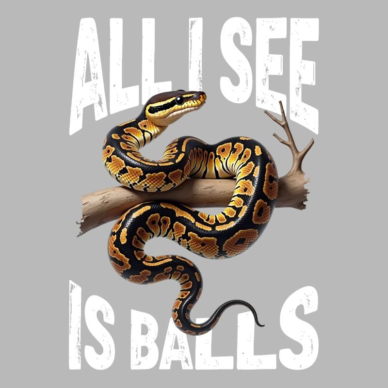 Python roi Serpents Amateurs de terrarium Python