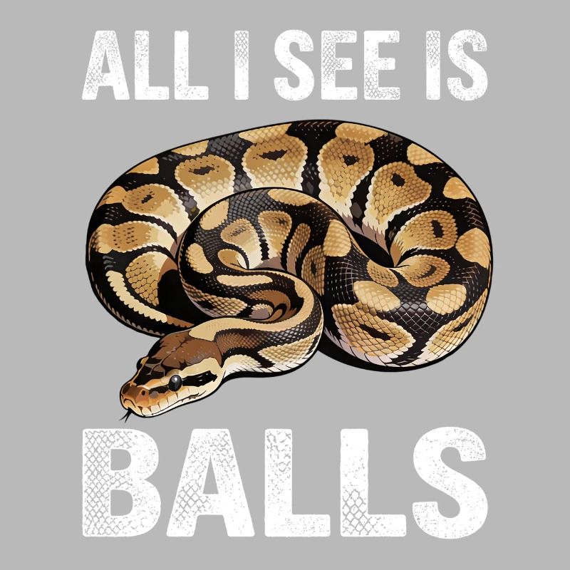 Python roi Serpents Amateurs de terrarium Python