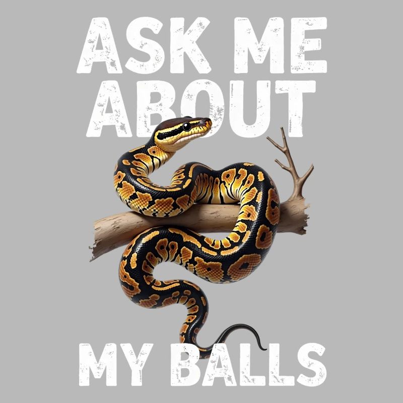Python roi Serpents Amateurs de terrarium Python