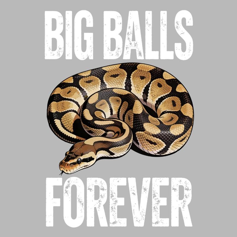 Python roi Serpents Amateurs de terrarium Python