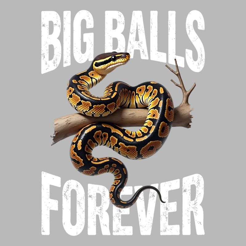 Python roi Serpents Amateurs de terrarium Python
