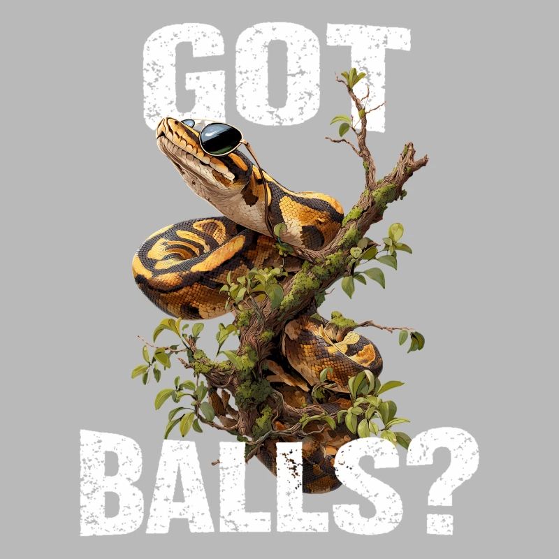 Python roi Serpents Amateurs de terrarium Python