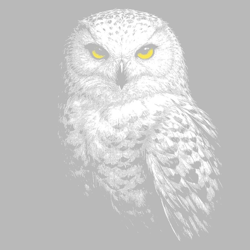 Schneeeule