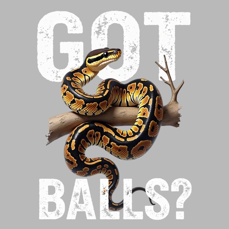 Python roi Serpents Amateurs de terrarium Python